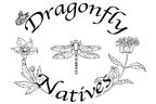 Dragonfly Natives - Home